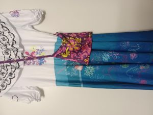 Kids Costumes to Hire - Encanto dress - Girl - Large